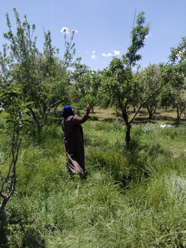 Promoting sustainability and creating economic opportunities – the crucial role of women green entrepreneurs | The Switchers