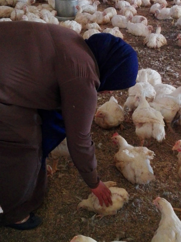 Promoting sustainability and creating economic opportunities – the crucial role of women green entrepreneurs | The Switchers