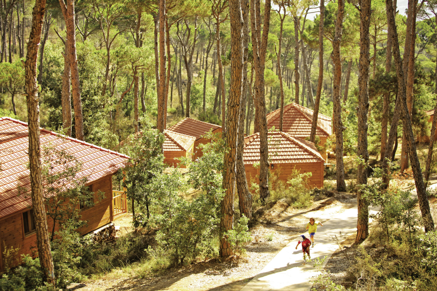 The largest green space in Lebanon is now home to sustainable tourism | The Switchers