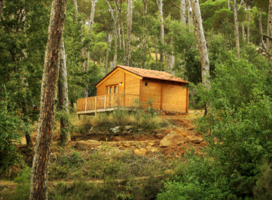 La Maison de la Forêt is a communal eco-touristic site within Bkassine Pine Forest