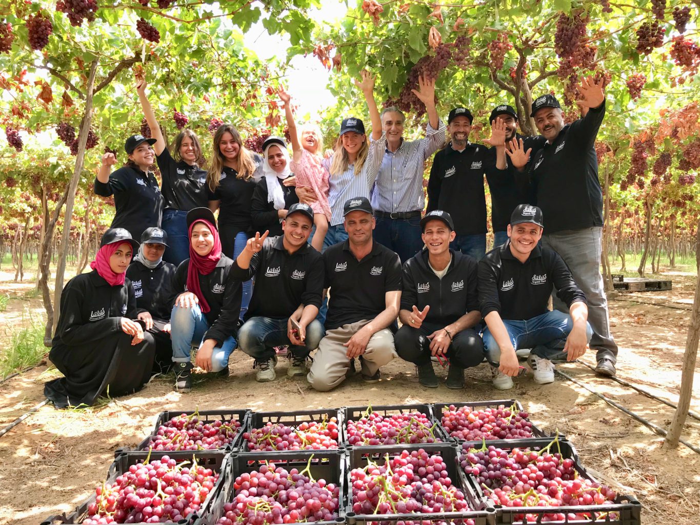 Organic farm loads up Egyptian plates with healthy fruit and vegetables | The Switchers