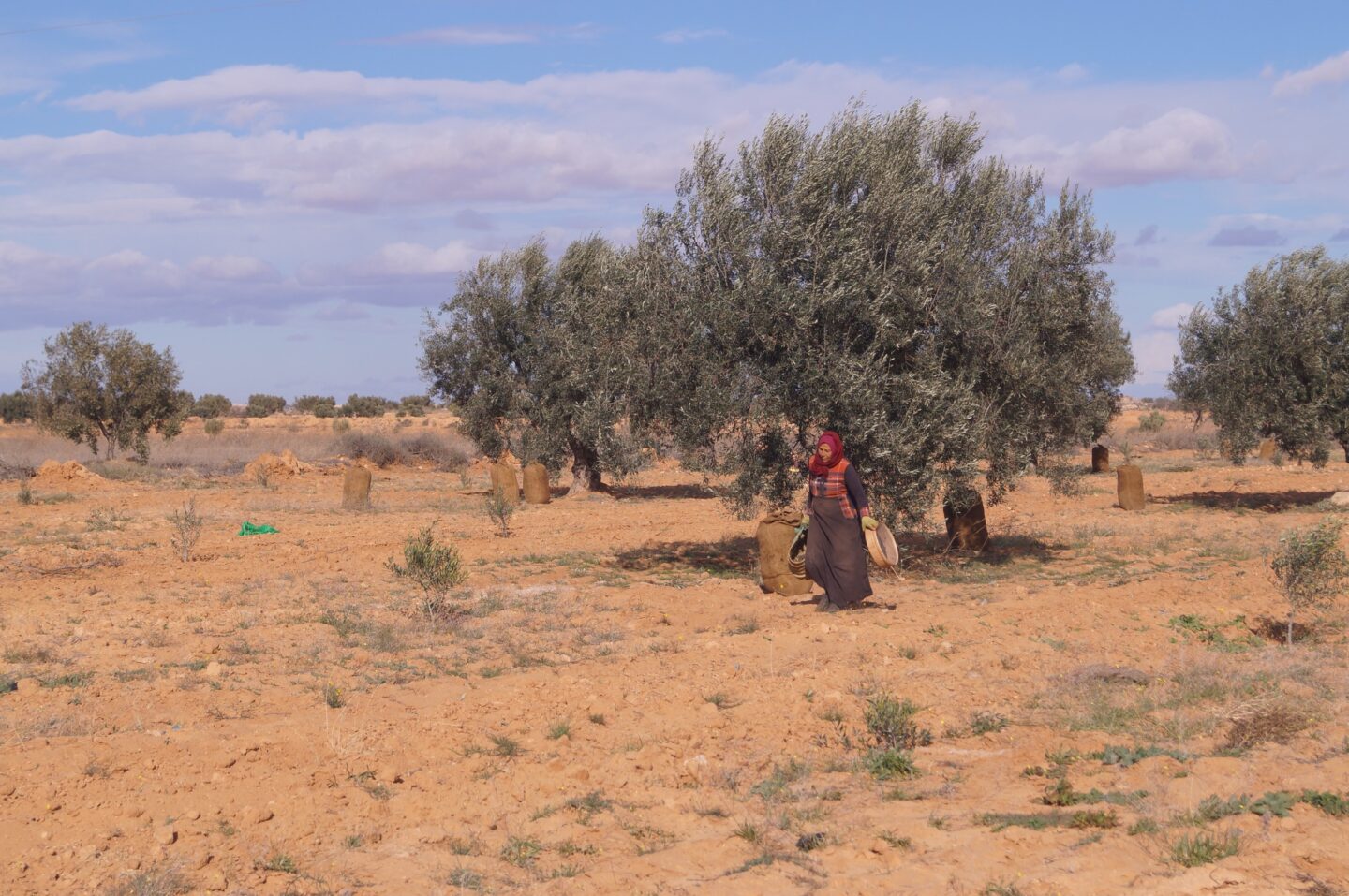 Grâce à cette entrepreneure, le recyclage de l&rsquo;eau est une option viable en Tunisie. | The Switchers