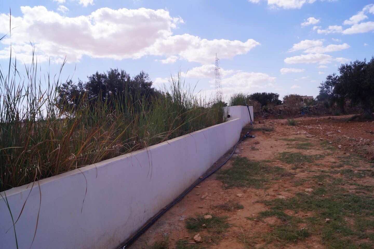 Grâce à cette entrepreneure, le recyclage de l&rsquo;eau est une option viable en Tunisie. | The Switchers