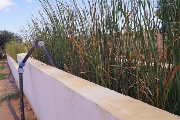 Grâce à cette entrepreneure, le recyclage de l&rsquo;eau est une option viable en Tunisie. | The Switchers