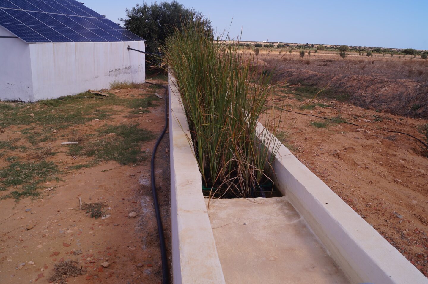 Grâce à cette entrepreneure, le recyclage de l&rsquo;eau est une option viable en Tunisie. | The Switchers