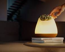 Bioo : Le secret de 3,8 milliards d&rsquo;années pour une énergie zéro émission | The Switchers