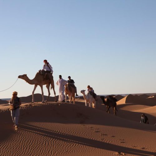 Discover the Sahara with the local population | The Switchers