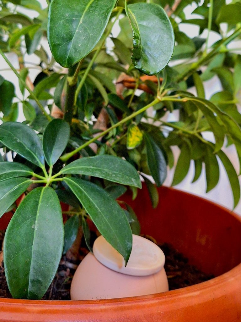 La transition circulaire vers une économie durable | The Switchers