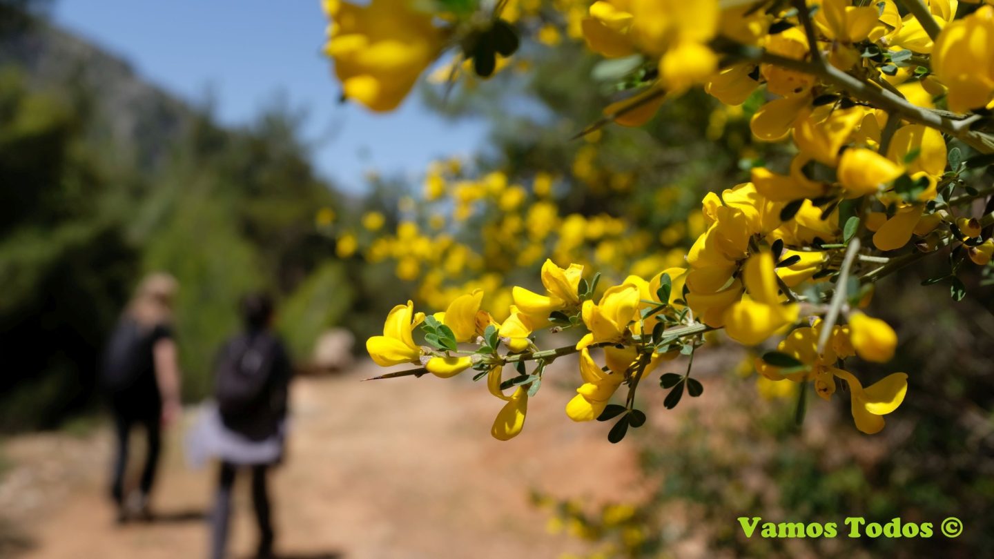 Beyond Mass Tourism: Adopting a Greener, More Ethical Way to Travel | The Switchers