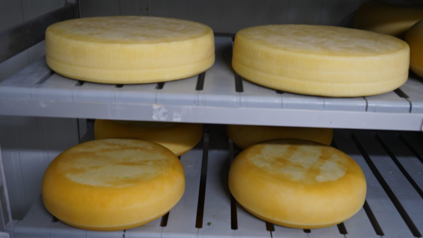 The Symbol of Aromatic Resilience: Lebanon Through Dry and Raw | The Switchers