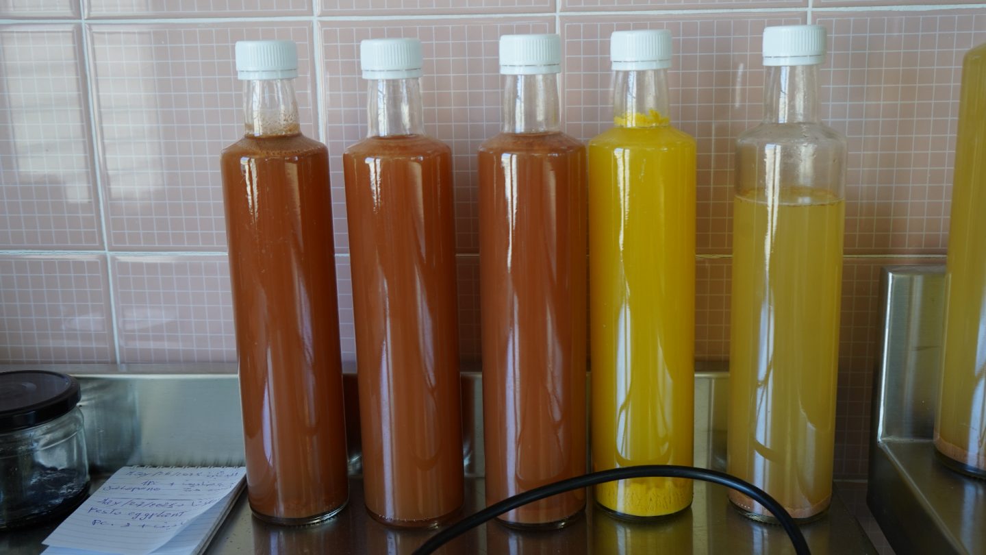 The Symbol of Aromatic Resilience: Lebanon Through Dry and Raw | The Switchers