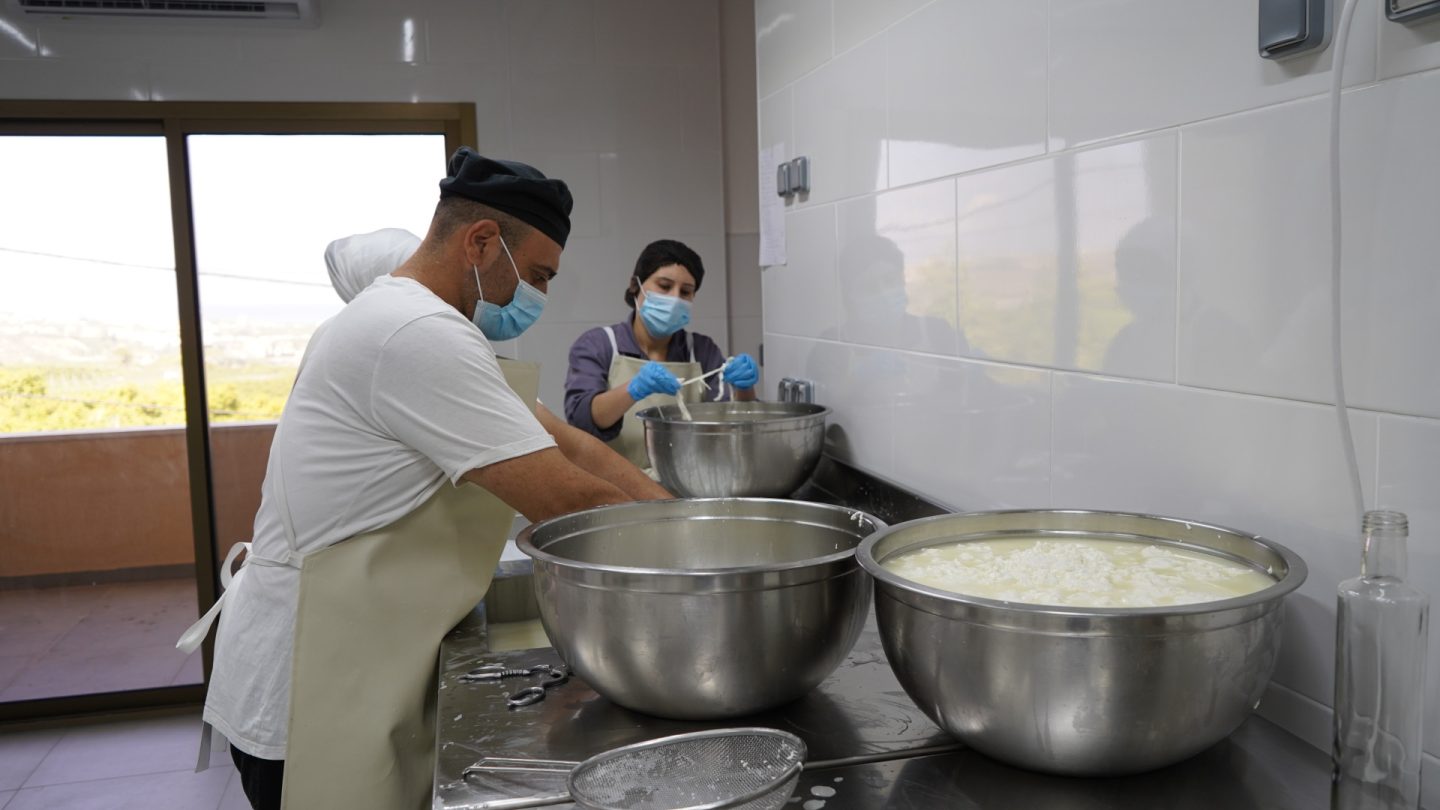 The Symbol of Aromatic Resilience: Lebanon Through Dry and Raw | The Switchers