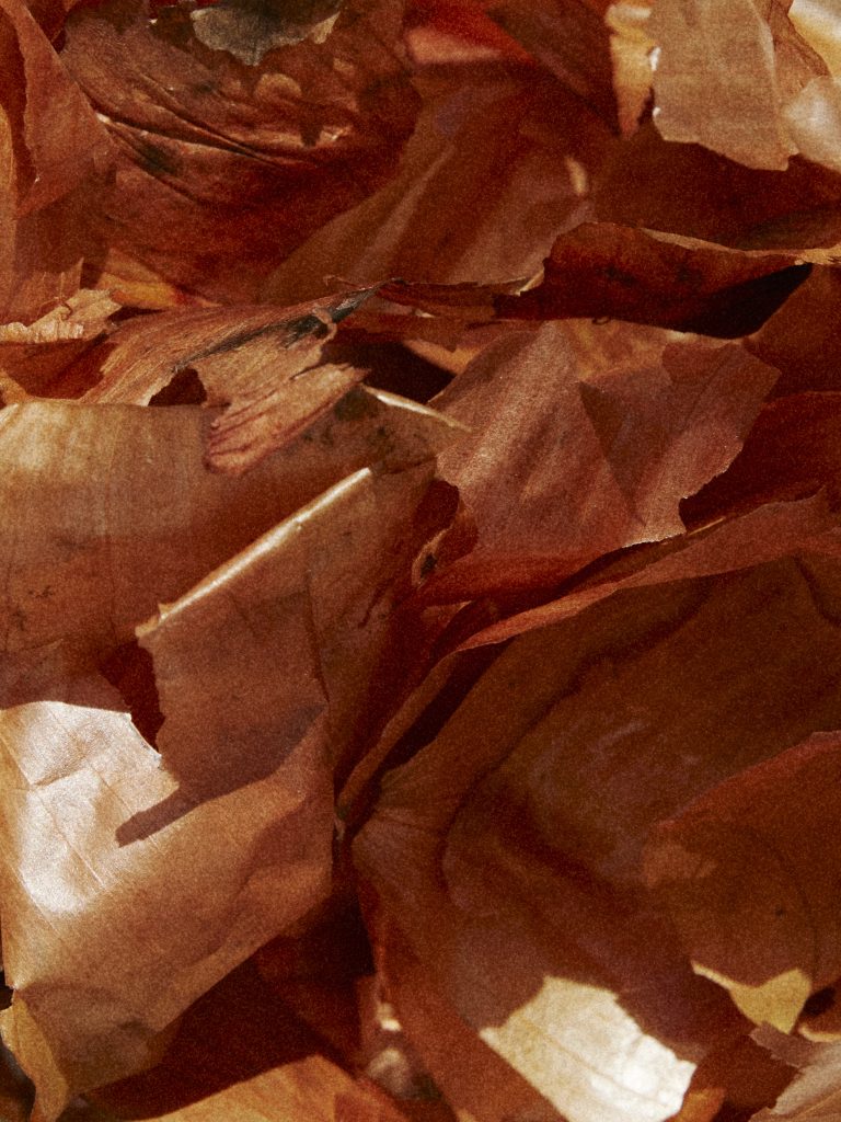 From Fast Fashion to Compostable Couture: Rethinking Textiles with Agricultural Waste | The Switchers