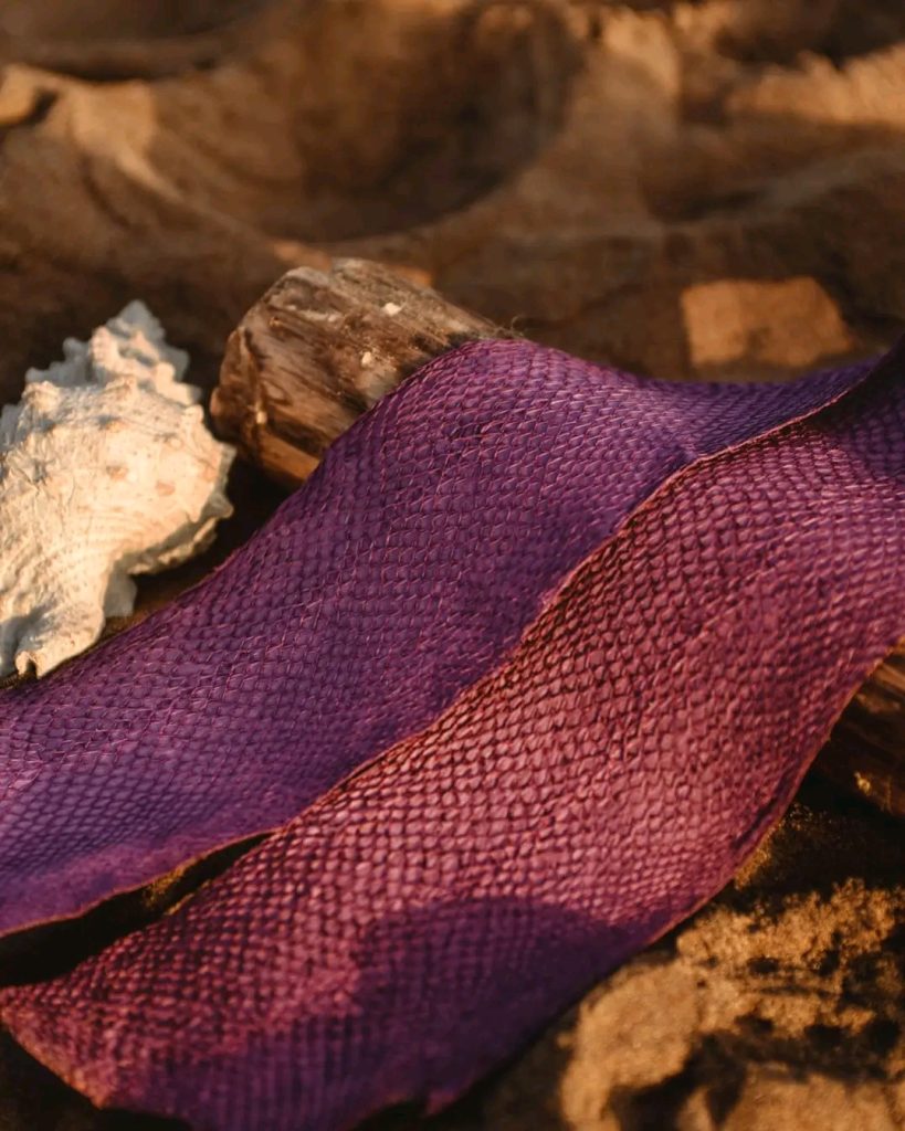 MERSKIN: Giving Fish Skins a Second Life in Algeria’s Sustainable Fashion Industry | The Switchers