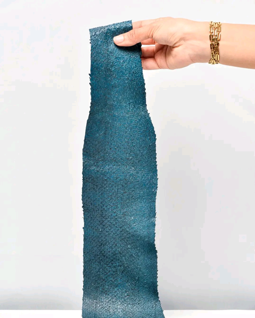 MERSKIN: Giving Fish Skins a Second Life in Algeria’s Sustainable Fashion Industry | The Switchers