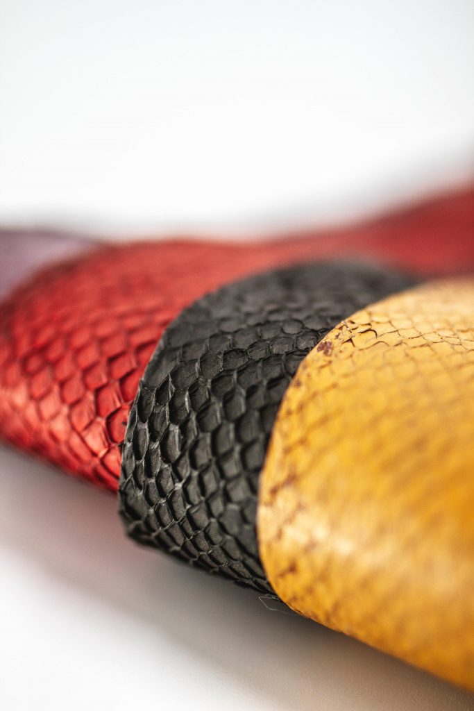 MERSKIN: Giving Fish Skins a Second Life in Algeria’s Sustainable Fashion Industry | The Switchers