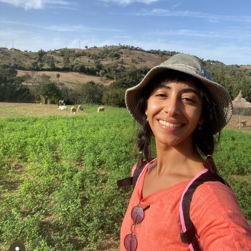 Purpose Over Profit: The Woman Who Found Morocco’s Soul in its Villages | The Switchers