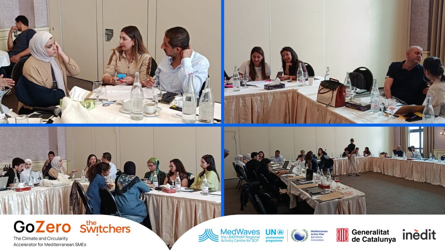 GoZero Programme accélère la croissance des PME méditerranéennes : principaux enseignements des formations intensives de Tunis et Barcelone | The Switchers