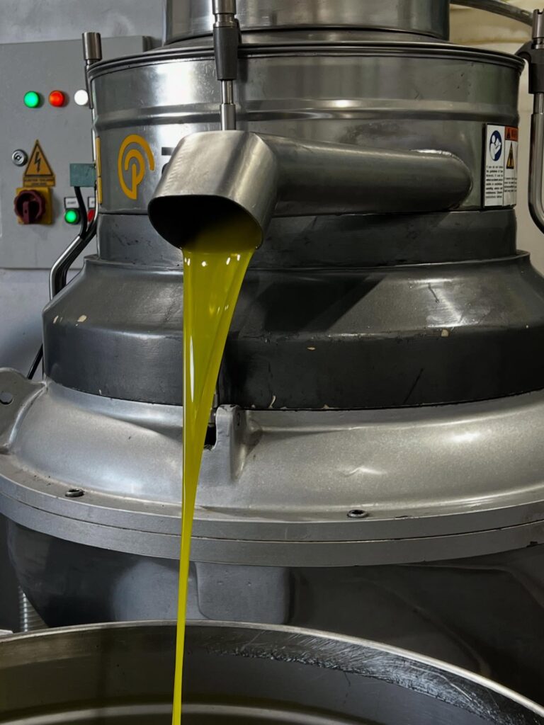 Des racines à l&rsquo;innovation : comment JemOlio allie héritage et durabilité | The Switchers