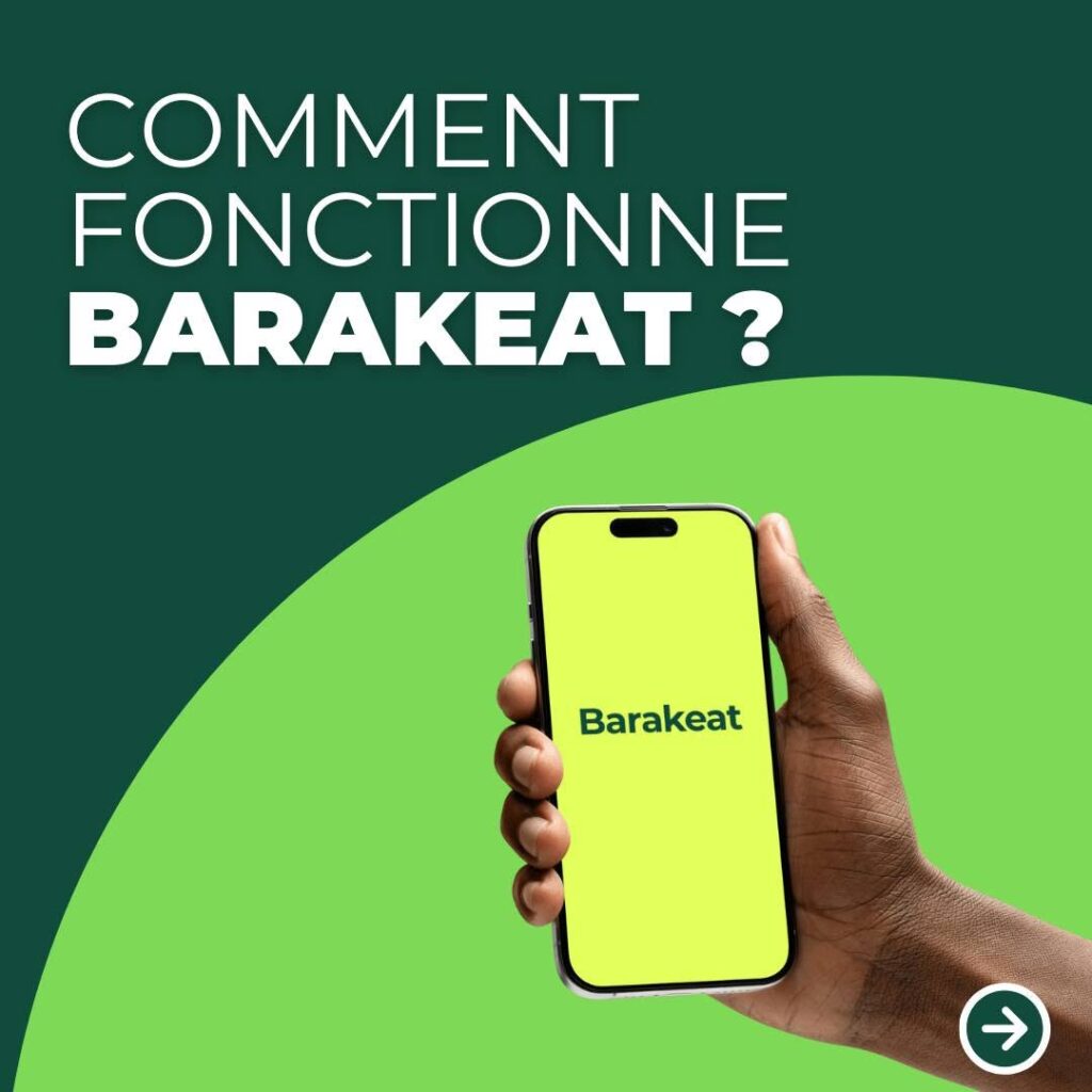 Économisez de la nourriture, économisez de l&rsquo;argent : au cœur de la mission de Barakeat pour mettre fin au gaspillage alimentaire en Tunisie | The Switchers