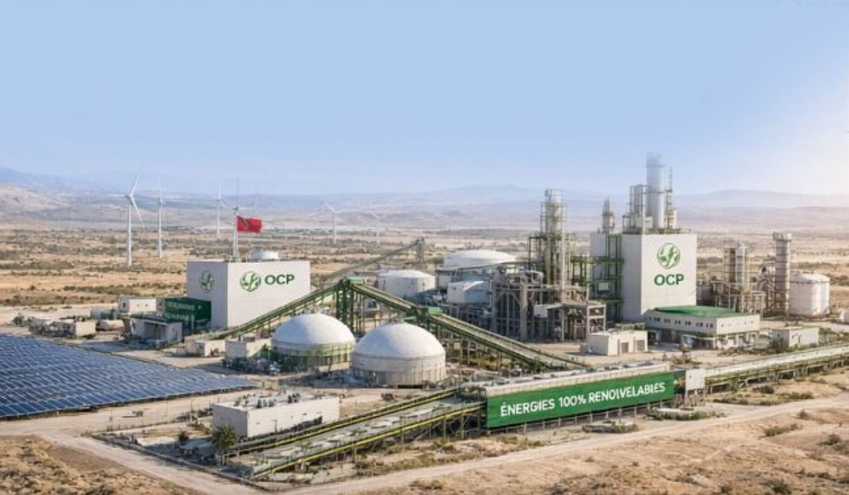 Green Power, Green Molecules: How MENA’s Heavy Industry Is Rewiring for a Carbon-Priced Europe | The Switchers